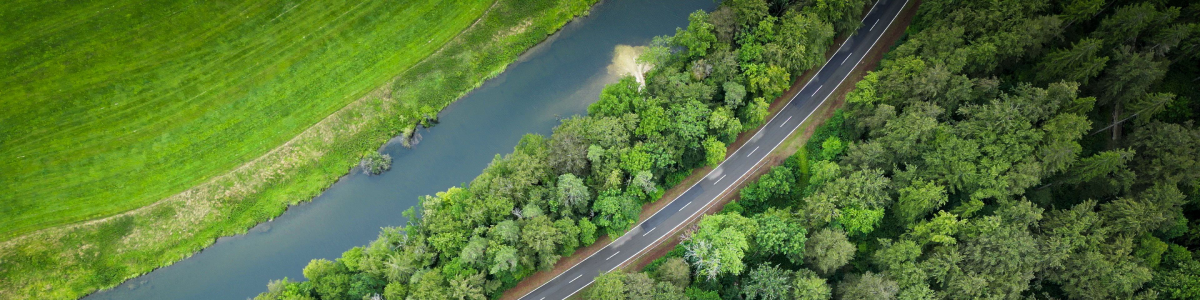 Commitment to Sustainability
