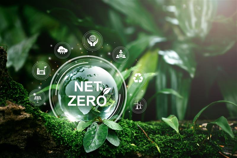 Net Zero Pledge